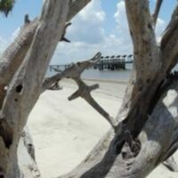 Visit christianforever1's profile on GETTR. View their posts, photos, videos, and connect with them on the social platform.