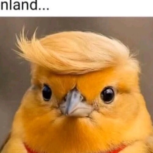 Visit freespeech0001's profile on GETTR. View their posts, photos, videos, and connect with them on the social platform.