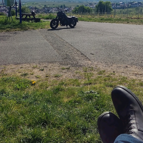 Visit pitsche62's profile on GETTR. View their posts, photos, videos, and connect with them on the social platform.