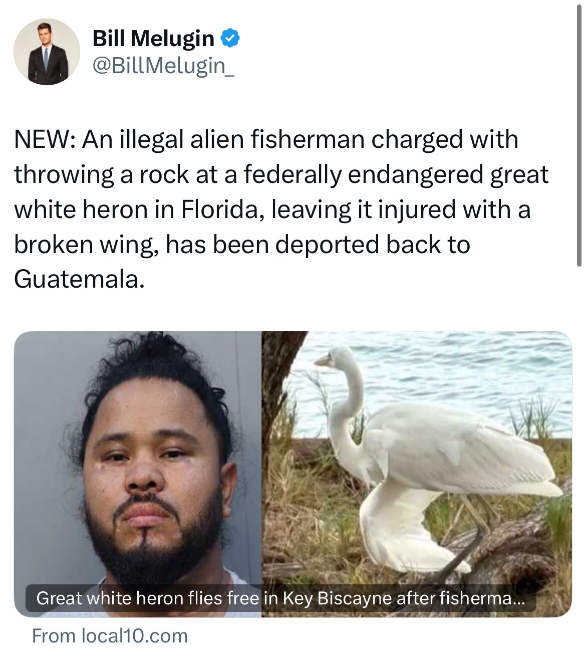 View Citizen Free Press's post on GETTR. Join the discussion, share your thoughts, and connect with the community.