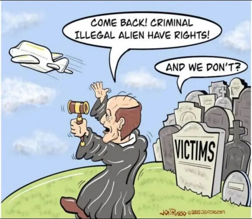 DEMOCRAT ACTIVIST JUDGES PERFECT 