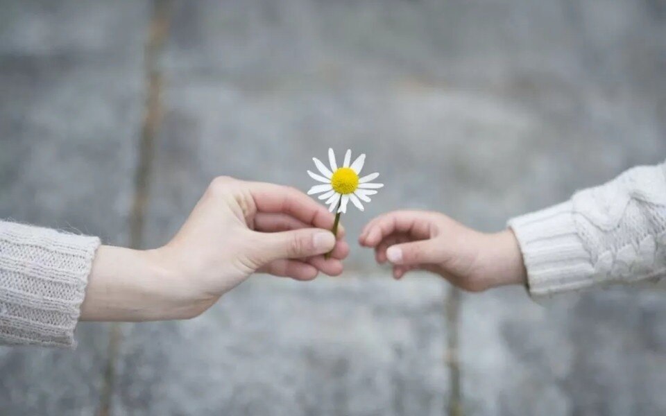 Điểm lại những bài nghị luận về lòng biết ơn hay nhất | Hoclagioi

Nghị luận về lòng biết ơn giúp ta...