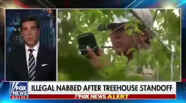 Illegal alien Raul climbed a tree to evade ICE arrest.  It didn't work out for him.

https://citizen...