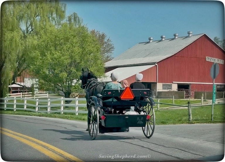 Today’s Truth ...
“If you give your love away, it will multiply each day.”
~ Amish Proverb
❤️
#love #kindness #quoteoftheday #Amish #proverb #photoofthe