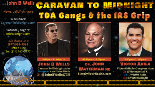 TDA Gangs & the IRS Grip - John B Wells LIVE