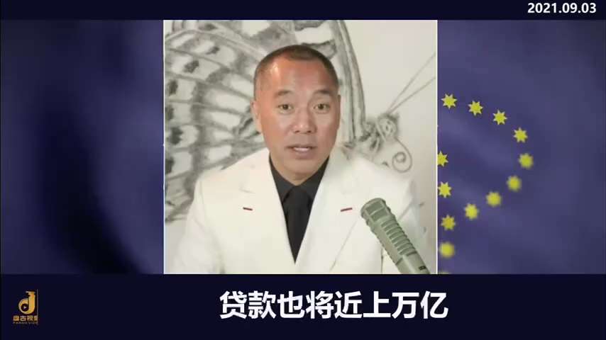 南方制药的背后的最核心的股东朱孟依这些人都不是，马明哲才是真正最核心。为什么一个长袖善舞的马明哲投资这些青蒿素，要用别人来代持呢？王岐山是大大股东，朱家只是这几个大佬的，所以朱家的房地产没出问题，贷款...