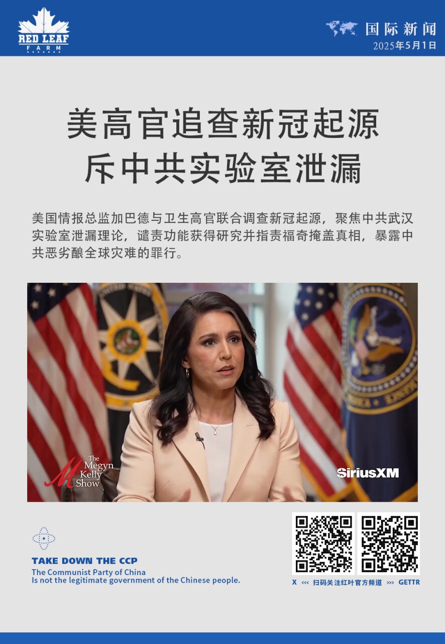 美高官追查新冠起源 斥中共实验室泄漏
美国情报总监加巴德与卫生高官联合调查新冠起源，聚焦中共武汉实验室泄漏理论，谴责功能获得研究并指责福奇掩盖真相，暴露中共恶劣酿全球灾难的罪行。
#中共威胁 #中共病...