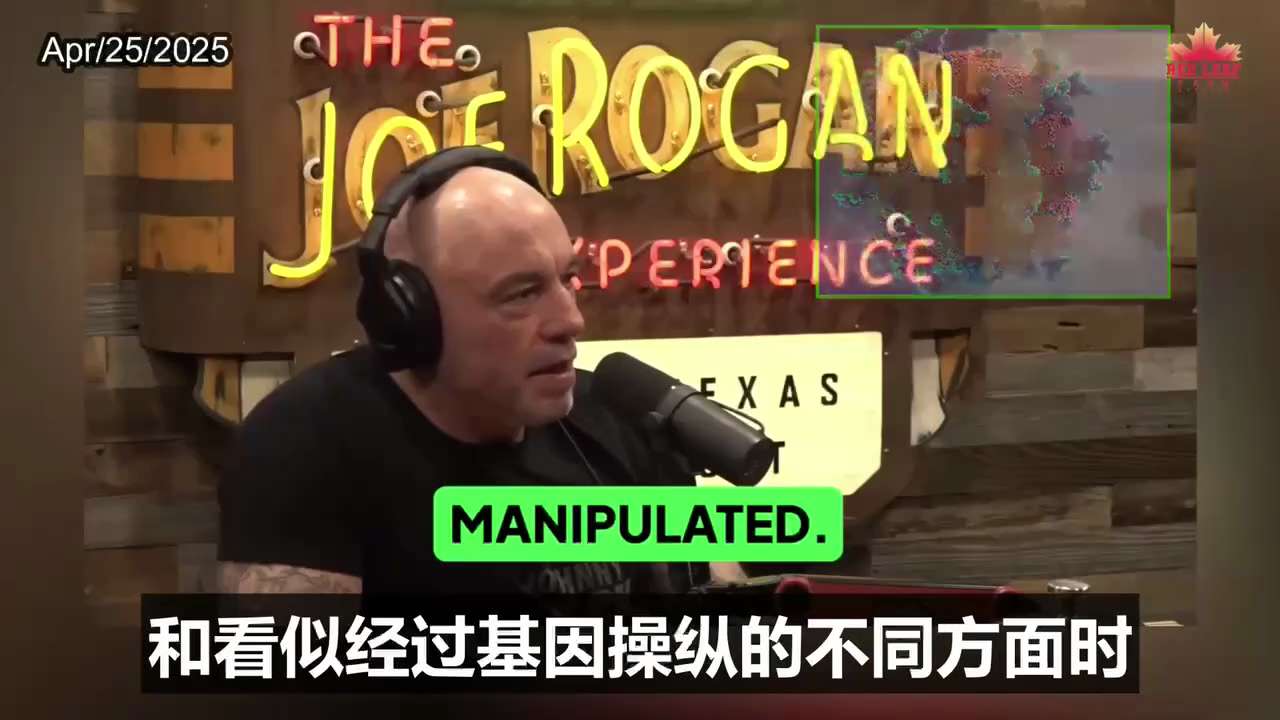 The Truth About the Origin of COVID-19 is Suppressed and Distorted

新冠病毒的起源真相被压制和歪曲宣传
