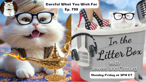 Careful What You Wish For | In the Litter Box w/ Jewels & Catturd – Ep. 799 – 5/9/2025