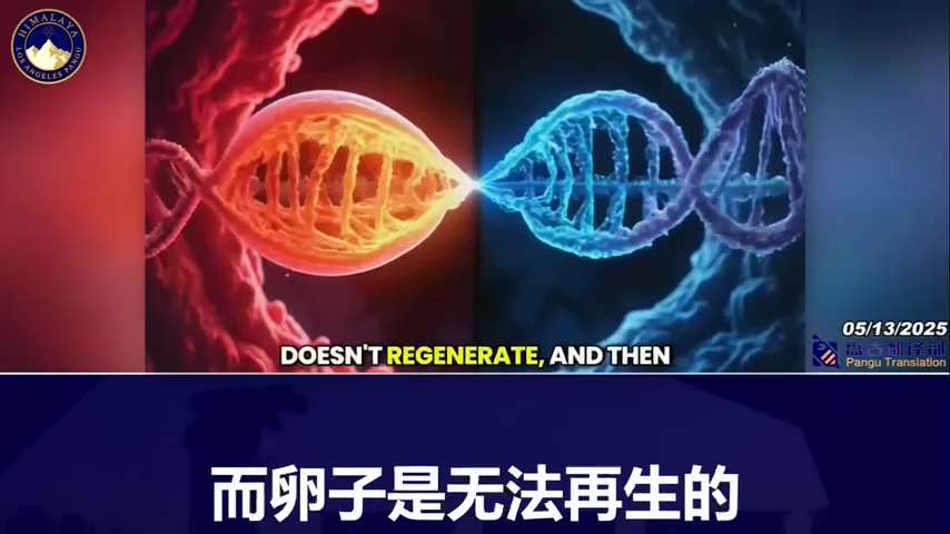 Dr. Nicolas Hulscher: Our public health agencies, acting on the instructions of biopharmaceutical gr...