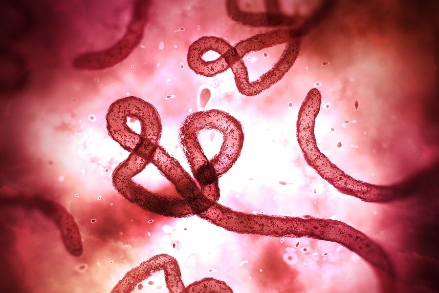Ebola Fever Therapeutic Market Is Estimated to Grow Owing to Monoclonal Antibodies

 The Ebola Fever...