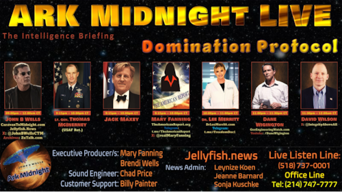 The Intelligence Briefing /Domination Protocol - John B Wells LIVE