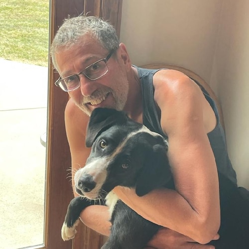 Crows are thought to be among our most intelligent birds.
Owls are regarded as lucky, wise and vigilant.
Humans are stup...