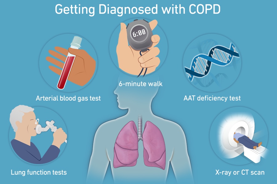 The Chronic Obstructive Pulmonary Disease (COPD) Diagnosis Market encompasses a broad array of diagn...