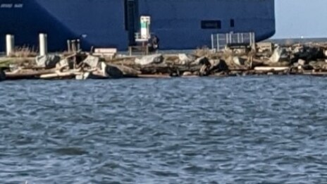 Alex_test_CN_2_EN_SI_0704_001