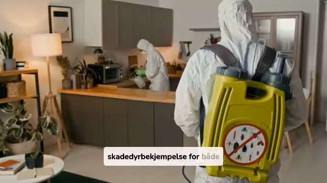 Tenke på Helse og Sikkerhet Fordeler for Professional Pest Styring

Parasitter som skadedyr ikke ret...