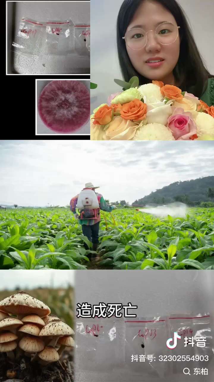 美国密歇根州东区检察官办公室宣布，中国人33岁的简云青和34岁的刘尊勇被控共谋、走私、虚假陈述以及签证欺诈等罪被逮捕。起诉书称，他们被指控将一种菌类偷运进入美国境内，这是一种“危险生物病原体”，名为“...