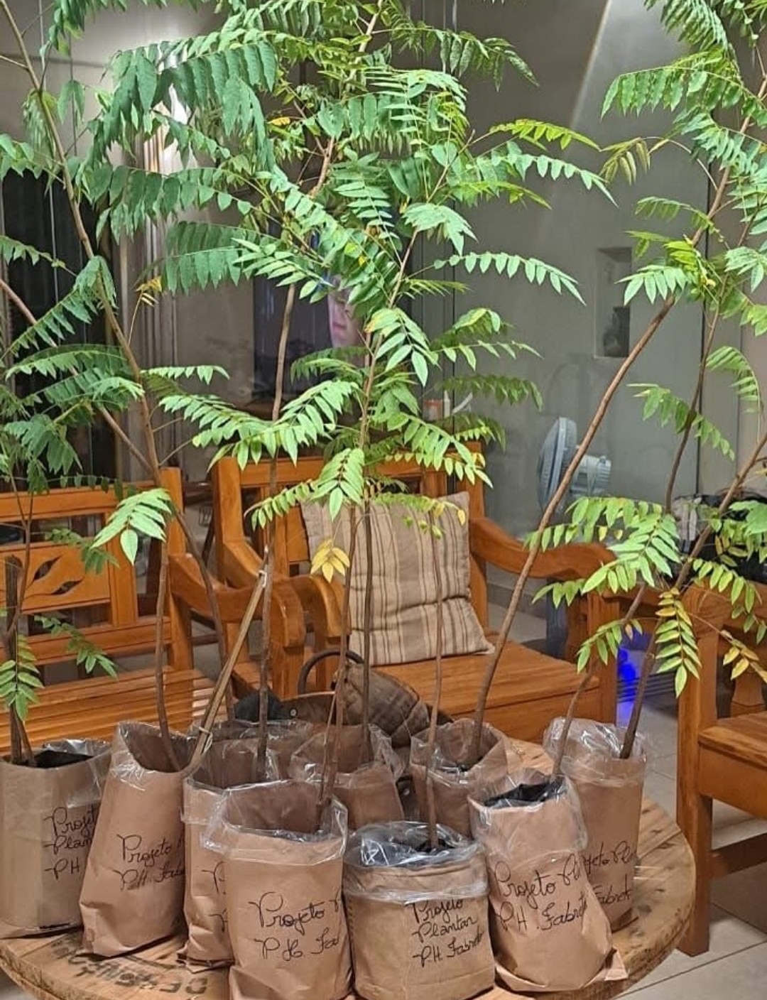 Texto do Rotary Club de Santa Adélia 

Agradecimento ao amigo PH, Gestor Ambiental e fundador do Pro...