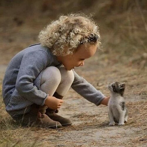 Visit Scheich's profile on GETTR. View their posts, photos, videos, and connect with them on the social platform.