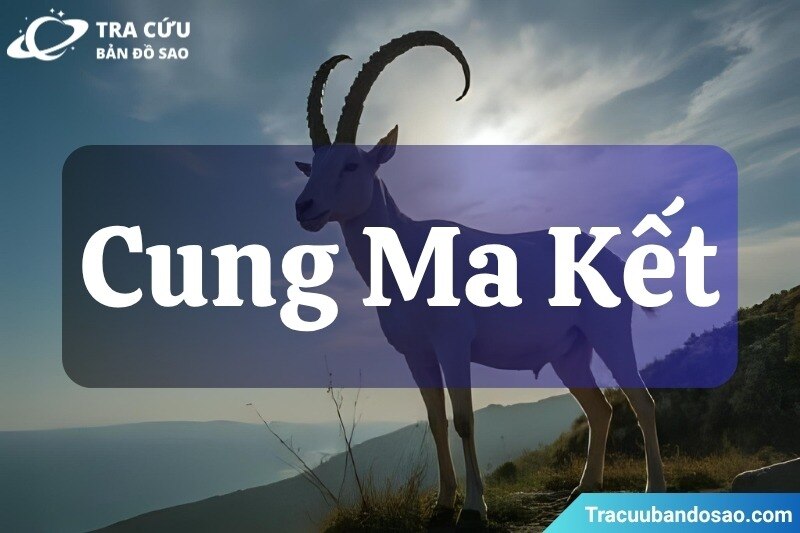 Cung Ma Kết (Capricorn) | Người Nguyên Tắc, Lý Trí Và Thực Tế
Cung Ma Kết (Capricorn) là cung thứ 10...