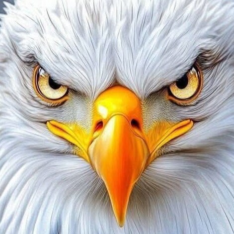 Visit my webpage link above.