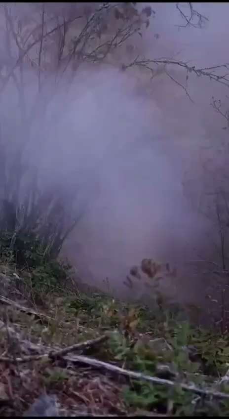 @nostri 🇷🇺⚔️🏴‍☠️🇺🇦

"Das ist Freiheit?!" 
  – Generalmajor Christian Freuding
