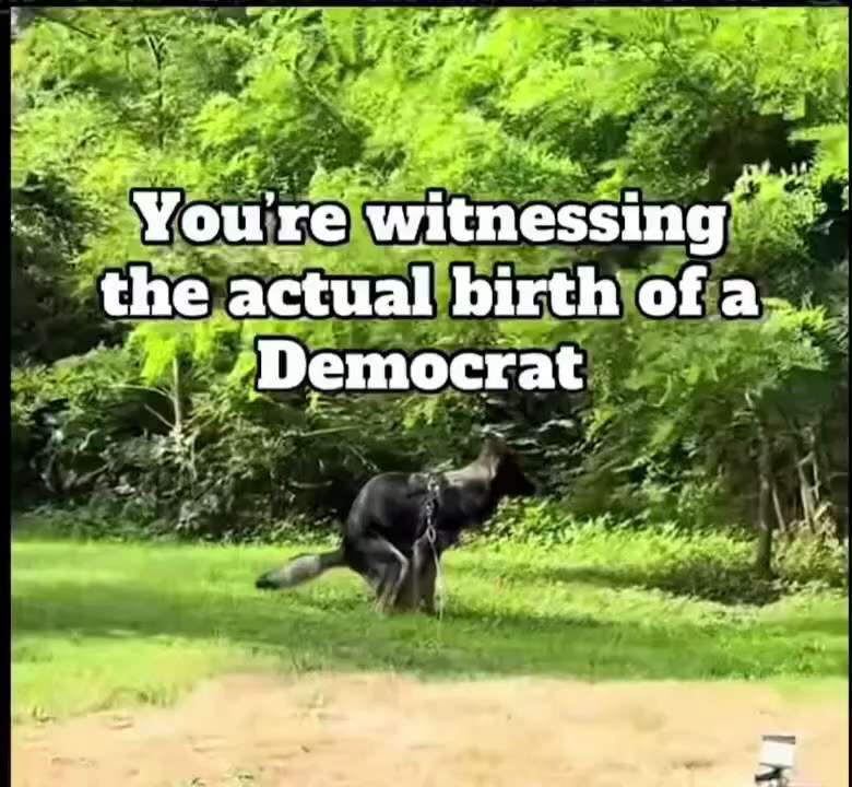 We could have a beautiful country, beautiful cities and quality infrastructure if it wasn't for Demo...