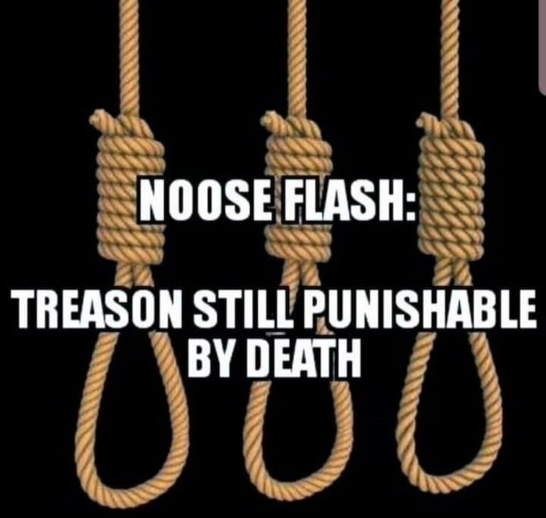 View dmart30959🍊's comment on GETTR. Join the discussion and share your thoughts.