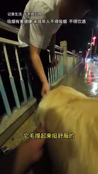 8月9日，网友在桥边拍到一名满身酒气的男子，神情恍惚。网友牵着自家金毛上前攀谈，得知男子刚被裁员，上有老人，下有两个在读的孩子，房贷尚未还清，妻子在家照顾孩子，没有收入。男子称，生活开支一直由自己承担...