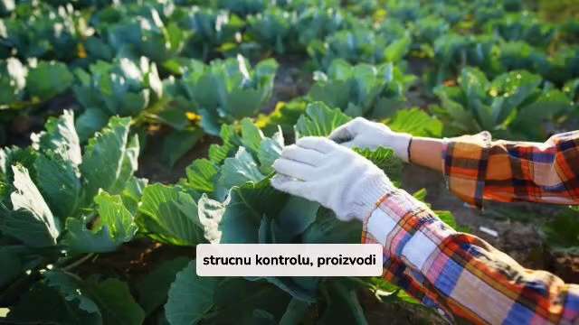 Prednosti Eko Certifikata Za Uzgoj U Hrvatskoj

Eko certifikat je glavno priznanje za proizvodace u ...