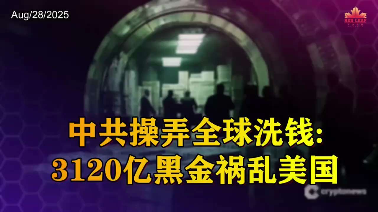 中共操弄全球洗钱：3120亿黑金祸乱美国

#中共威胁 #中共洗钱3120亿美元 #贩毒集团 #房地产交易 #中国学生 #中共渗透
