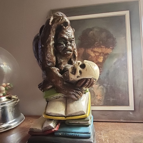 Conservative Trump Supporter