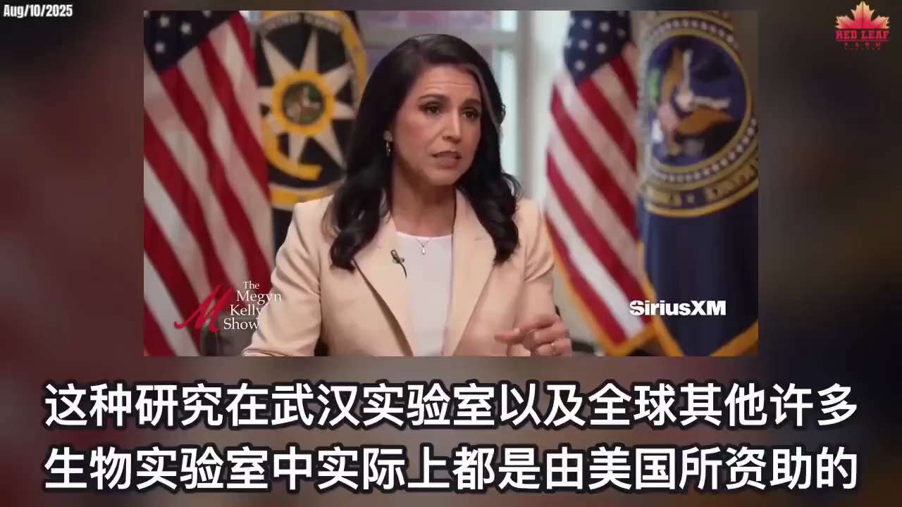 Tulsi总监透露，新政府将病毒溯源列为重中之重，白宫官网已180度转向，认定实验室来源并驳斥福奇。FBI局长Kash Patel确认正全力调查，Rand Paul参议员已提交福奇伪证刑事转介，密苏里...