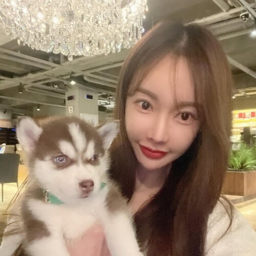 navyreality-on-gettr-profile-and-posts-on-gettr