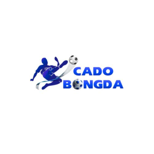 Tìm hiểu cá độ 
Hastags:  #nhacaicadobongda #cadobongda #dangkycadobongda #trangchucadobongda
Website: https://nycfab5...