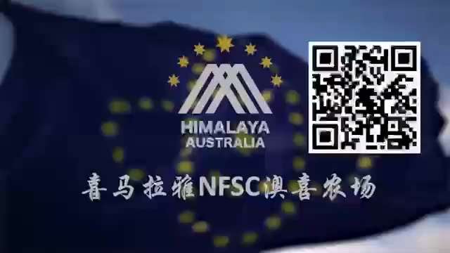 爆料回聲
一、250921 法廣
就是否對買俄石油的中印徵高關稅，歐盟主席馮德萊恩说歐盟將自行決定，週六川普再敦促歐洲停買俄石油結束戰爭。
二、郭先生爆料
1. 250915
對俄制裁上歐盟與美國分裂...