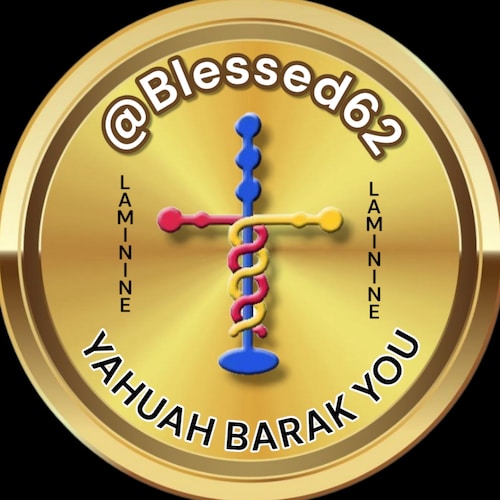 Patriot, Our Constitutional Republic is what I stand for. I stand and proudly sing our national anthem. Love our flag! L...