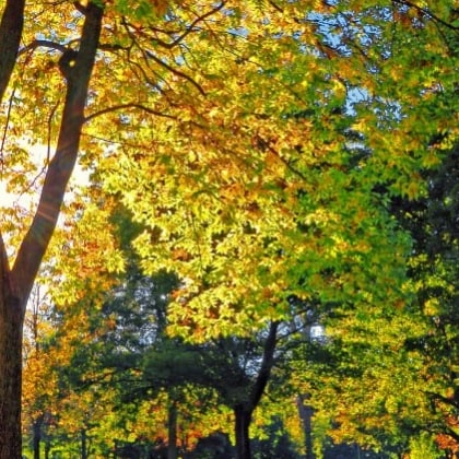 Visit uschibabe's profile on GETTR. View their posts, photos, videos, and connect with them on the social platform.