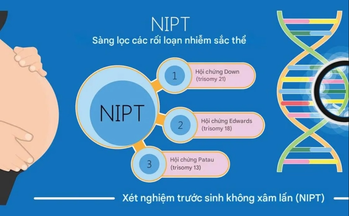Không ít gia đình quan tâm đến thông tin “xét nghiệm NIPT là xét nghiệm gì?” bởi đây là phương pháp ...