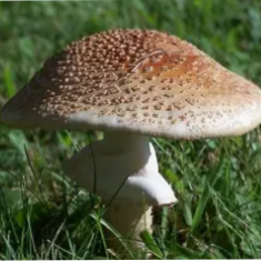 No habla Bullshit
Anti-Qtard
Fuck Israel, and fuck Hamas (but I repeat myself).
Kill 'em all and let God sort 'em out...