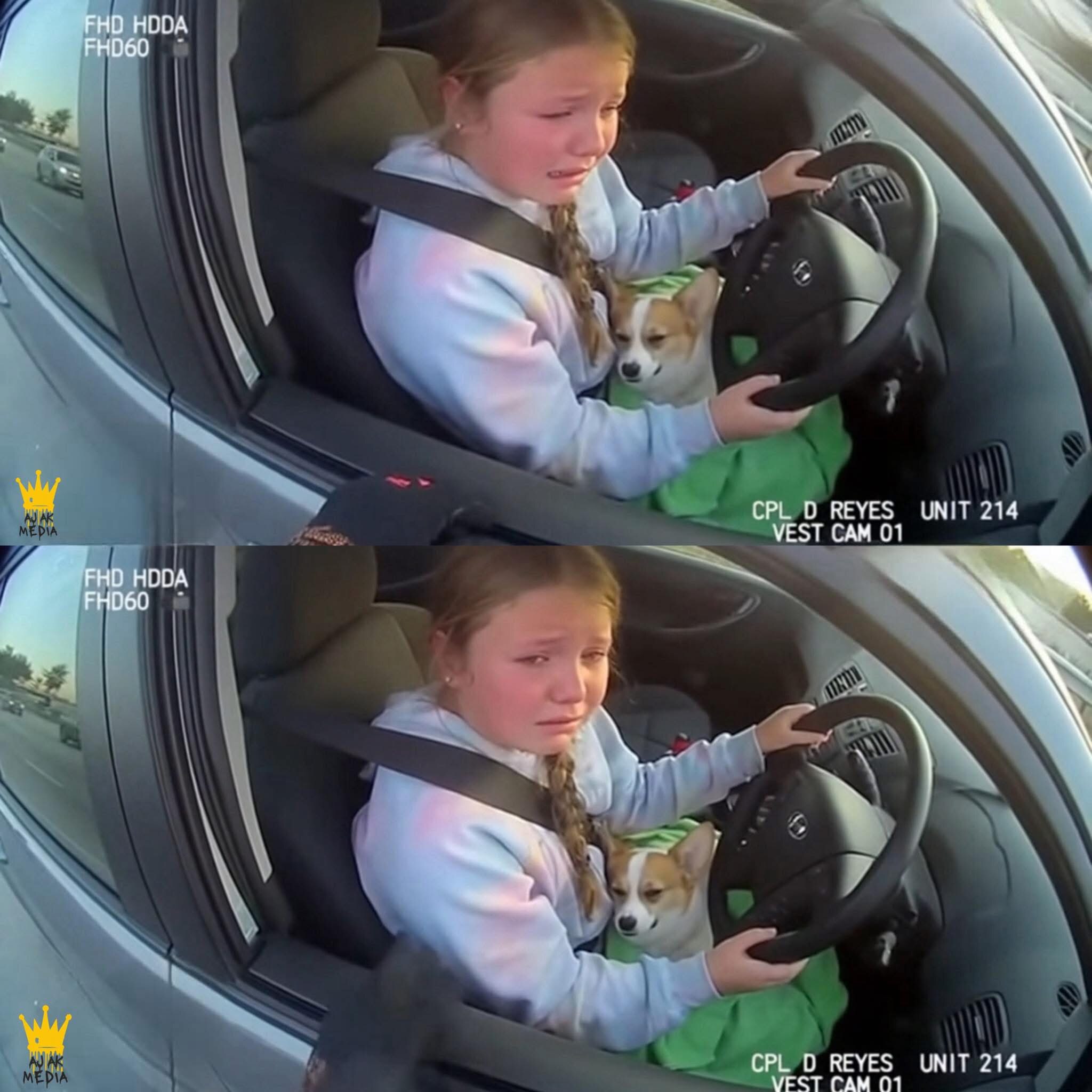 Compassion and empathy for Child…..

A 12 Year Old Pulled Over While Trying to Save Her Puppy In Tex...