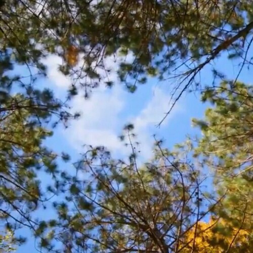 Let's stand together to fight for Freedom, Democracy & Rule of Law