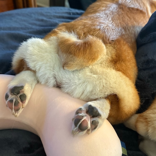 Constitutional Conservative, Proud American 🇺🇸 #2A, #Trump1, #Savethechildren