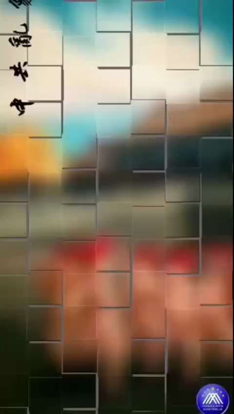 編號：3️⃣4️⃣7️⃣
【中共乱象】2025年10月23日下午17点多，在山西忻州宁武县刘家园一辆大货车因对中共交警长期压榨不满，怒发冲冠，突发现中，由于当时处于晚高峰，一下撞了20多辆车，伤亡情况...