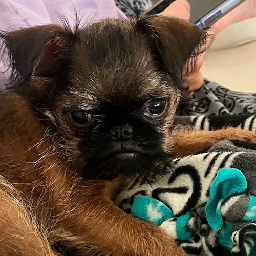 Fiscally Conservative! Pro Law Enforcement!  Back the Blue! Back in SW FLORIDA