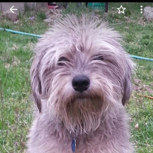 Marine MoM 
 since 2018
TRUMP WON 2020
GOD IS GOOD
RAISED 2 MEN
LOVE MY KIDS