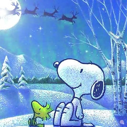 Aviation enthusiast besides weather, music, cars, sports, gaming,  military,  trucks.