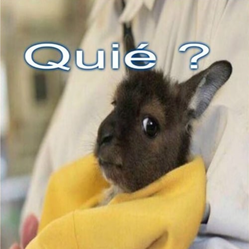 Visit CARLOS FERNANDES's profile on GETTR. View their posts, photos, videos, and connect with them on the social platform.