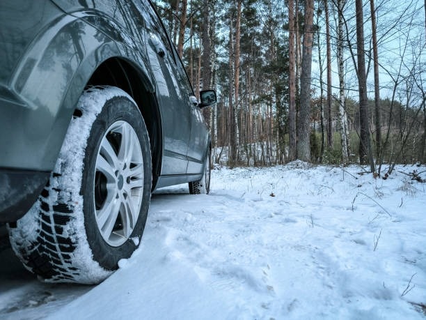 Latvija Vissezonas Riepas Profesionali Piedava Serviss Automašinam

Latvija autovaditaji izvelas kva...