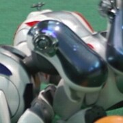 fictionkin • causing CHAOS with crepe! • inf4,cauloduo,ggetggettrduo,icechewerduo,gayteenagefurrytrio • 17 years • time/...